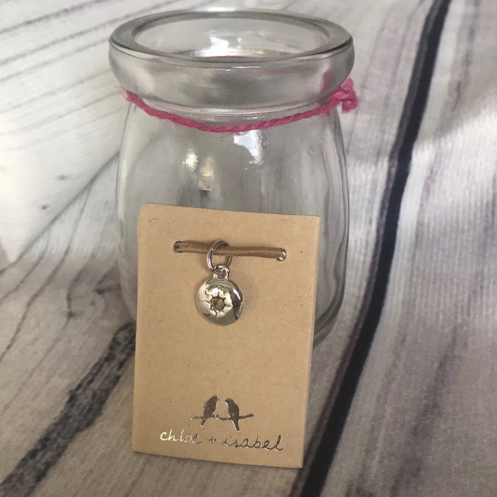 Chloe & Isabel birthstone charm